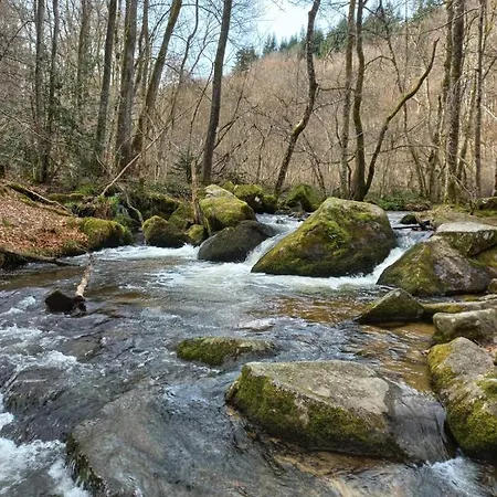奥博格普瑞肯特住宿加早餐旅馆 3* Arfeuilles