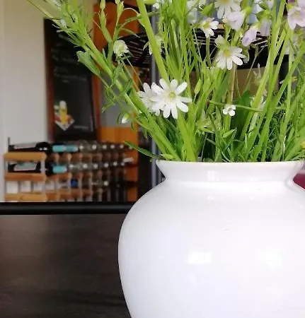 奥博格普瑞肯特住宿加早餐旅馆 3*