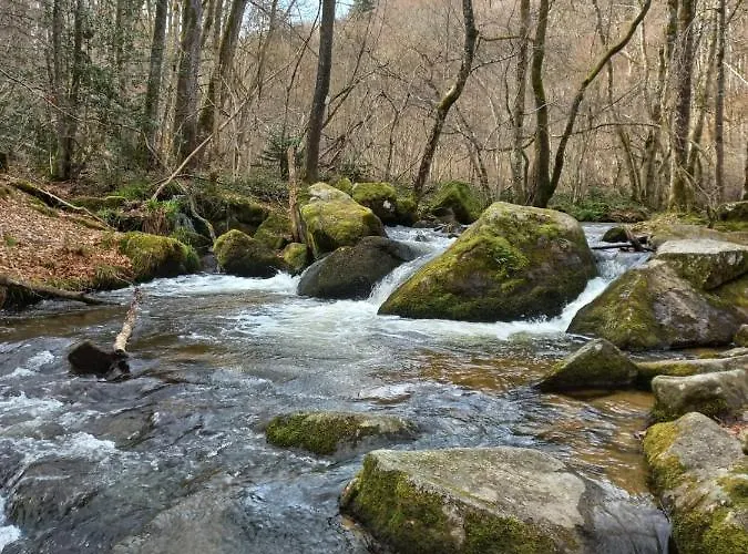 Du Precontent 3* Arfeuilles